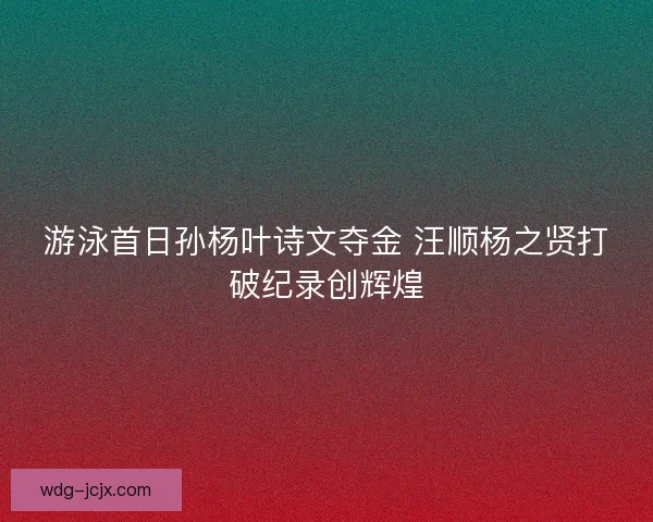 游泳首日孙杨叶诗文夺金 汪顺杨之贤打破纪录创辉煌