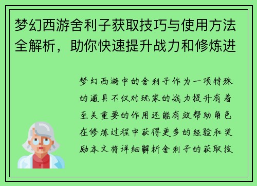 梦幻西游舍利子获取技巧与使用方法全解析，助你快速提升战力和修炼进度